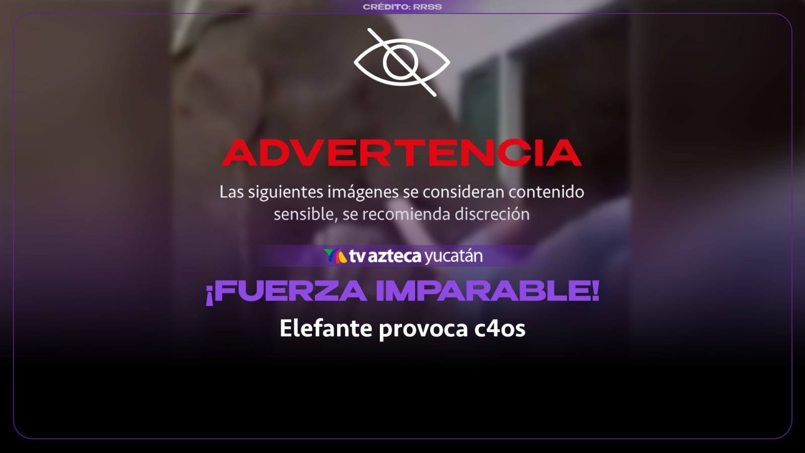 ¡Imágenes FUERTES! Elefante se libera y ATACA a su cuidador; así fue el momento (+Video)