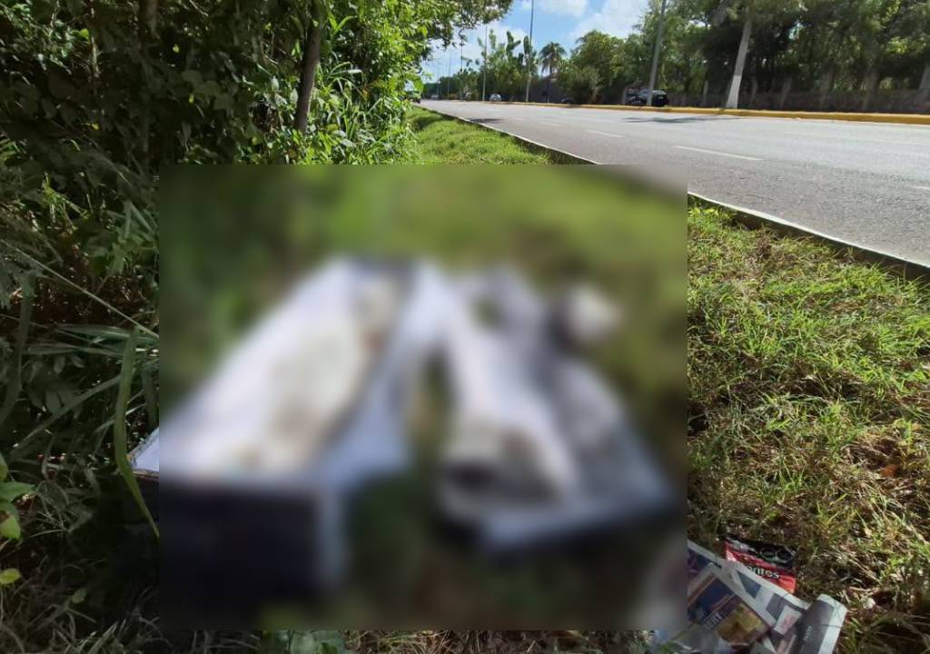 ¡Escalofriante! Hallan ATAÚD abierto y abandonado en plena carretera de la Península; esto se sabe  