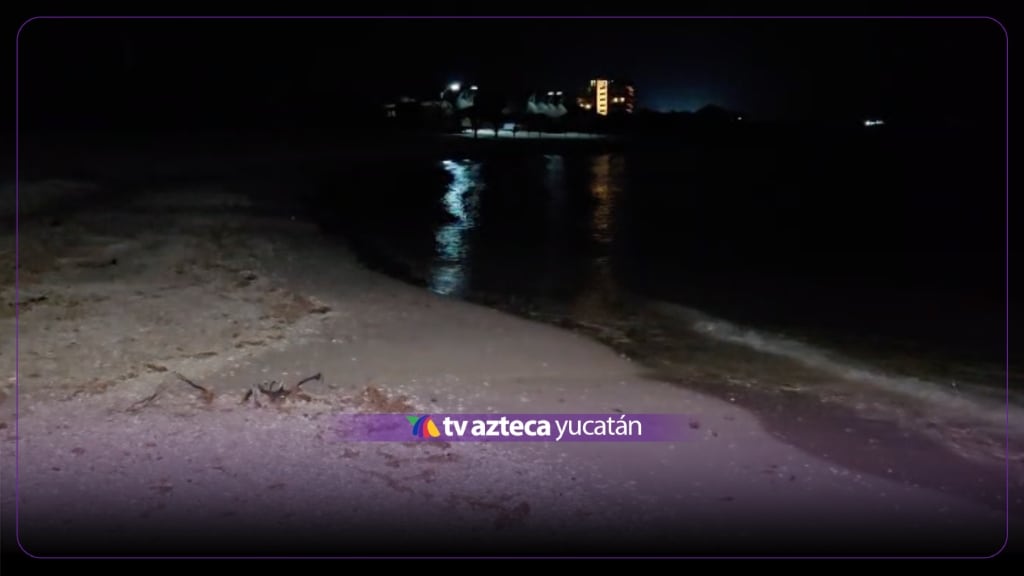 ¿Calma antes de la tormenta? Así luce el OLEAJE en Sisal ante el paso de Isaías