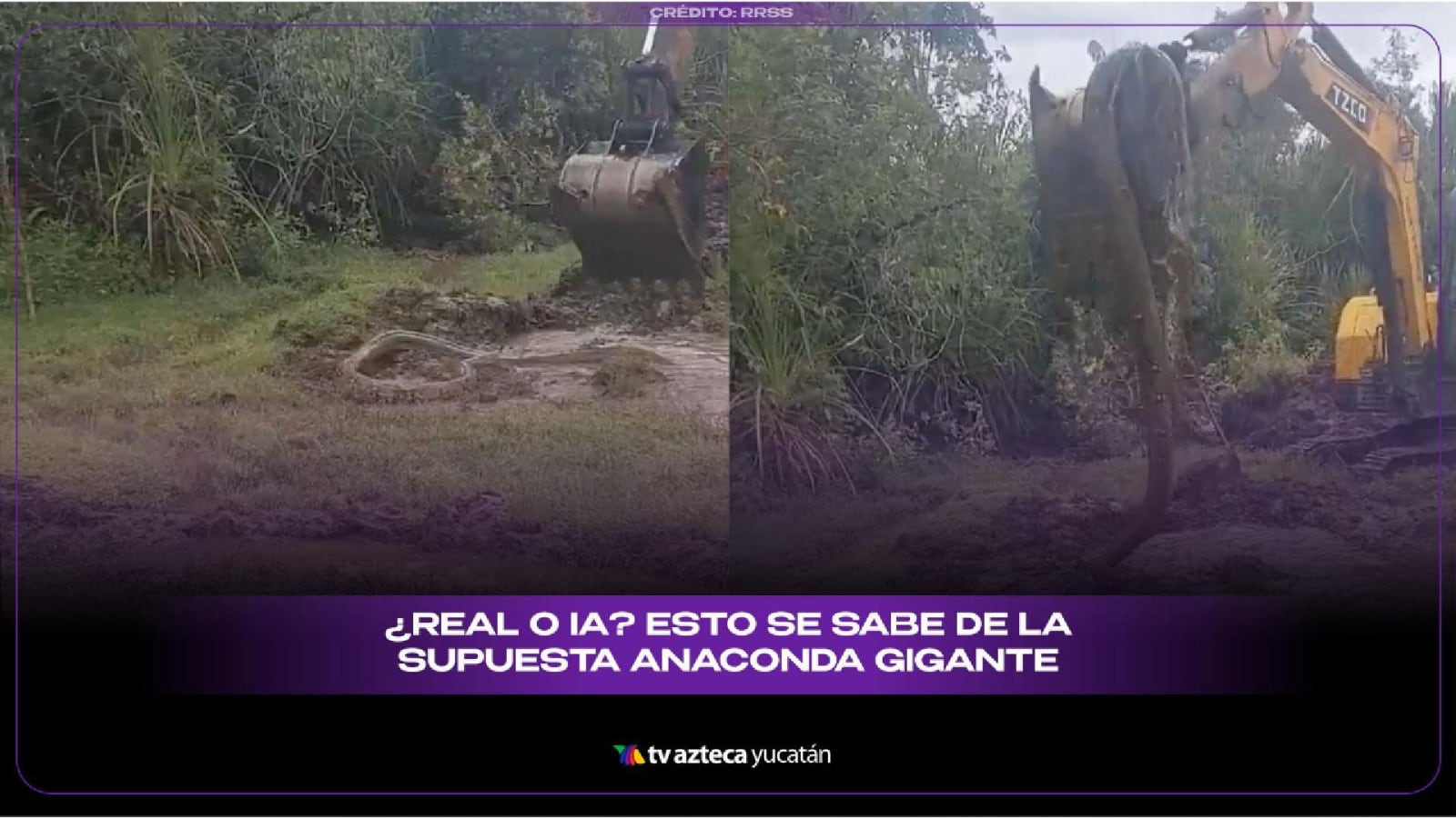 ¿Sí es real? Esto se sabe de la ANACONDA GIGANTE hallada tras las excavaciones en Indonesia