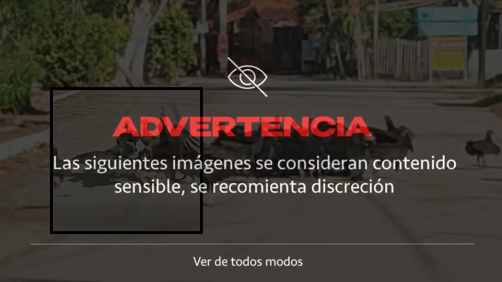 IMÁGENES FUERTES: Captan a buitres DEVORANDO a un perro muerto en las calles de México
