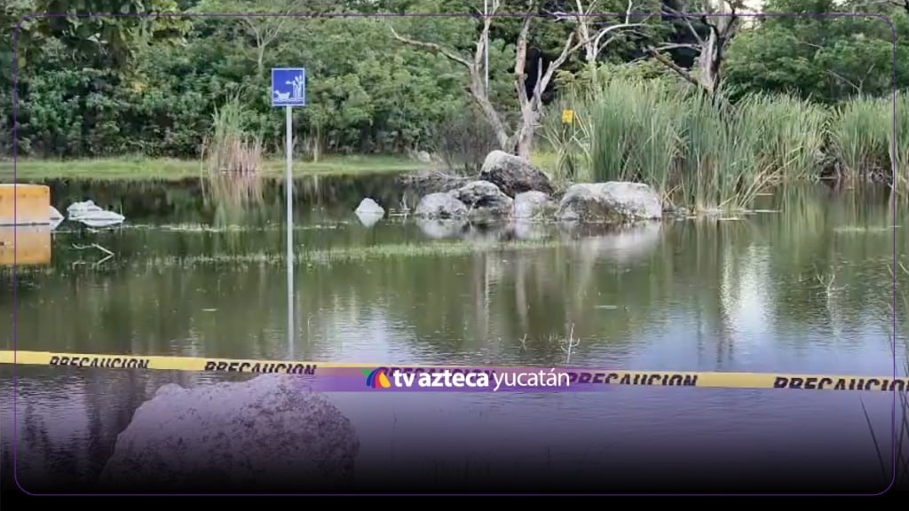 Así luce HOY el lago del Parque Ecológico del Poniente donde fue encontrada la AMEBA COME CEREBROS