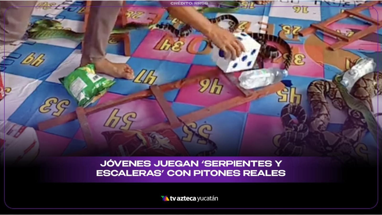 NO APTO PARA MENORES: Jóvenes JUEGAN serpientes y escaleras con víboras VIVAS