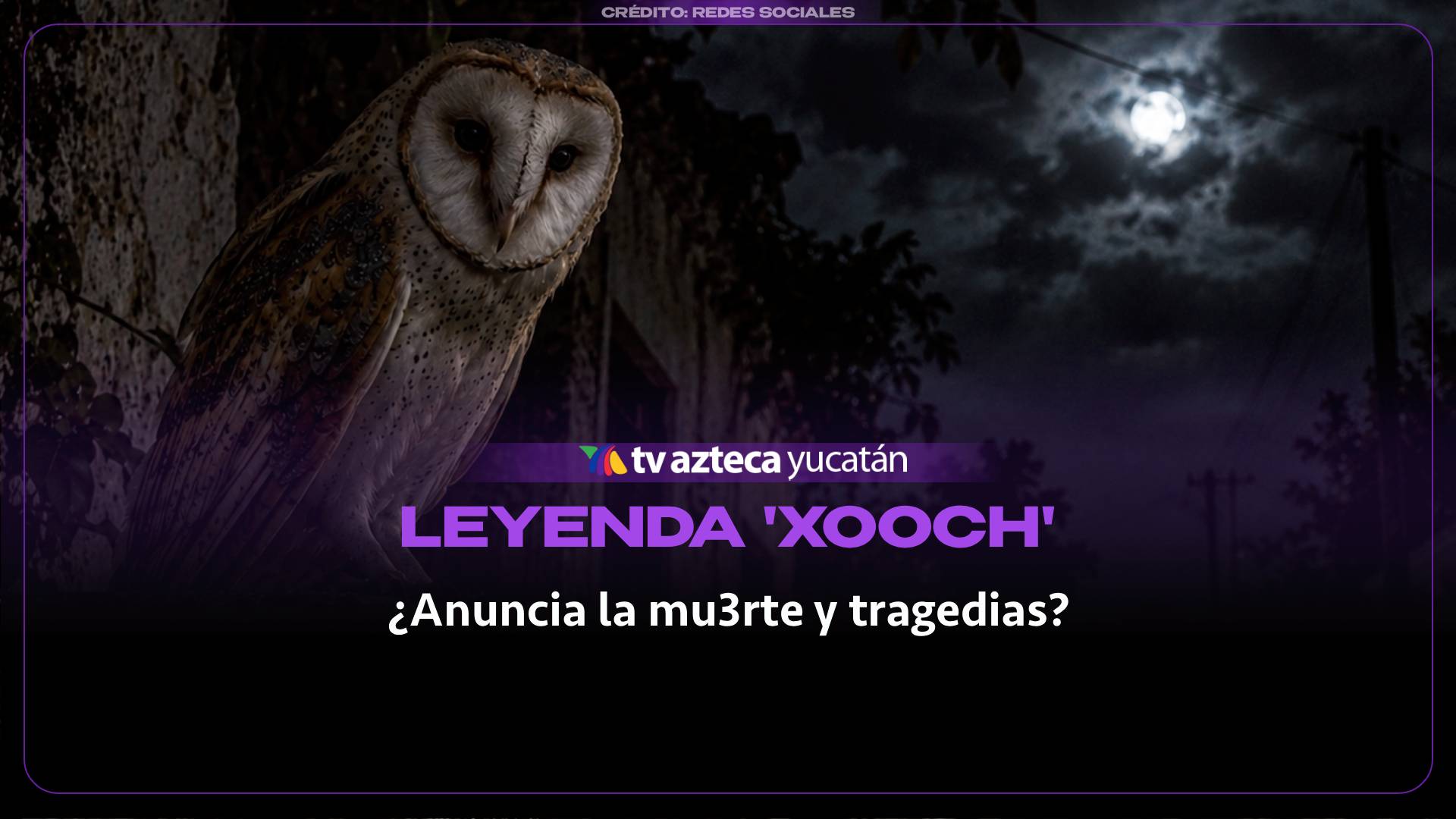 ¿Anuncia que la MU3RTE está cerca? La aterradora creencia que rodea al ‘XOOCH’ en Yucatán (+VIDEO)