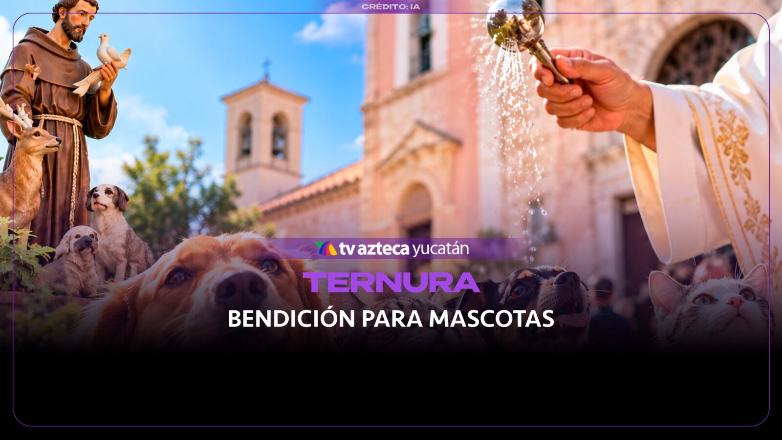 ¡Awww! Lomitos y michis CELEBRAN el Día de San Francisco de Asís en Yucatán