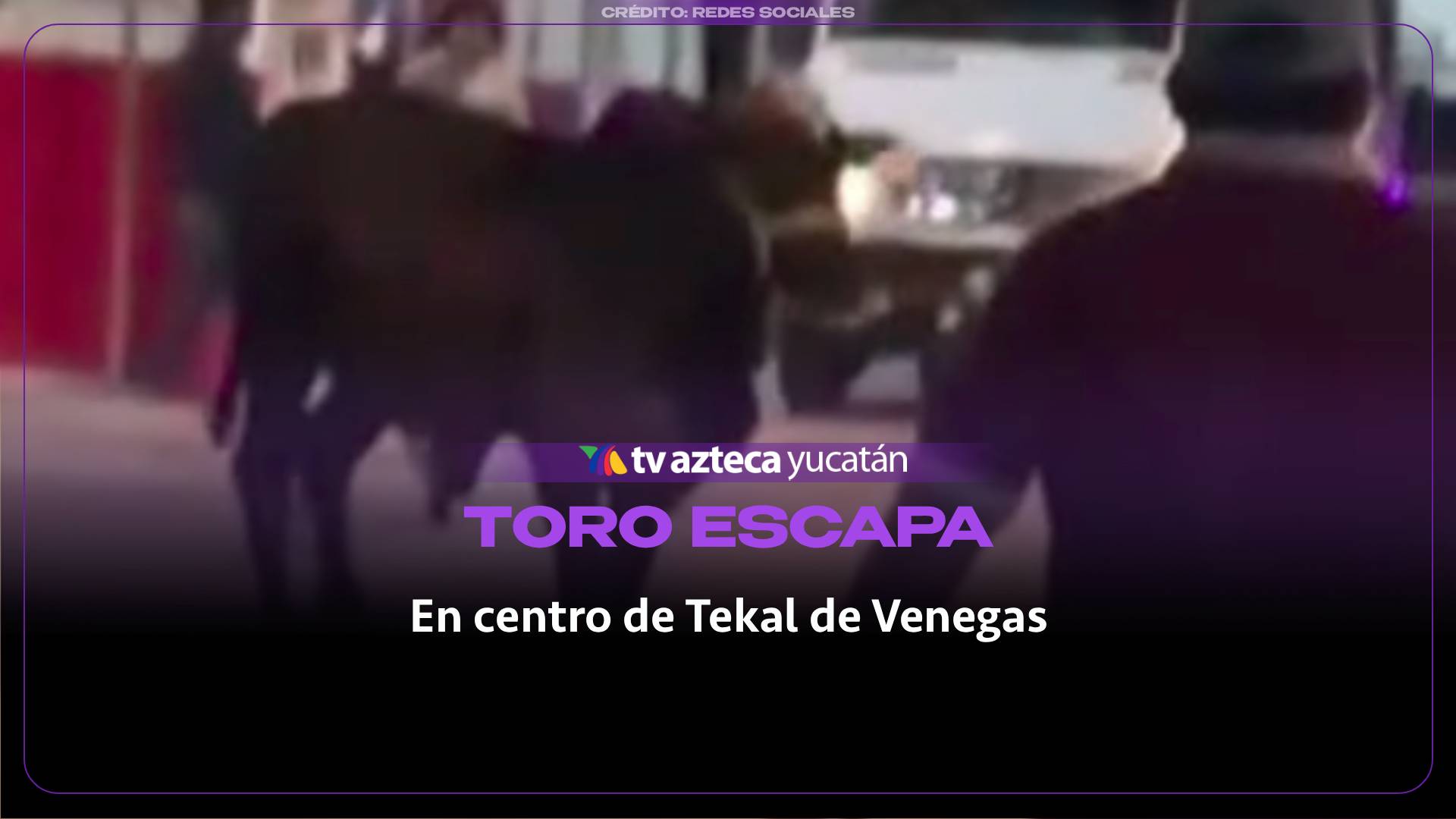 ¡Momentos de pánico! Toro se ESCAPA y recorre pleno CENTRO de Tekal de Venegas en Yucatán (+VIDEO)