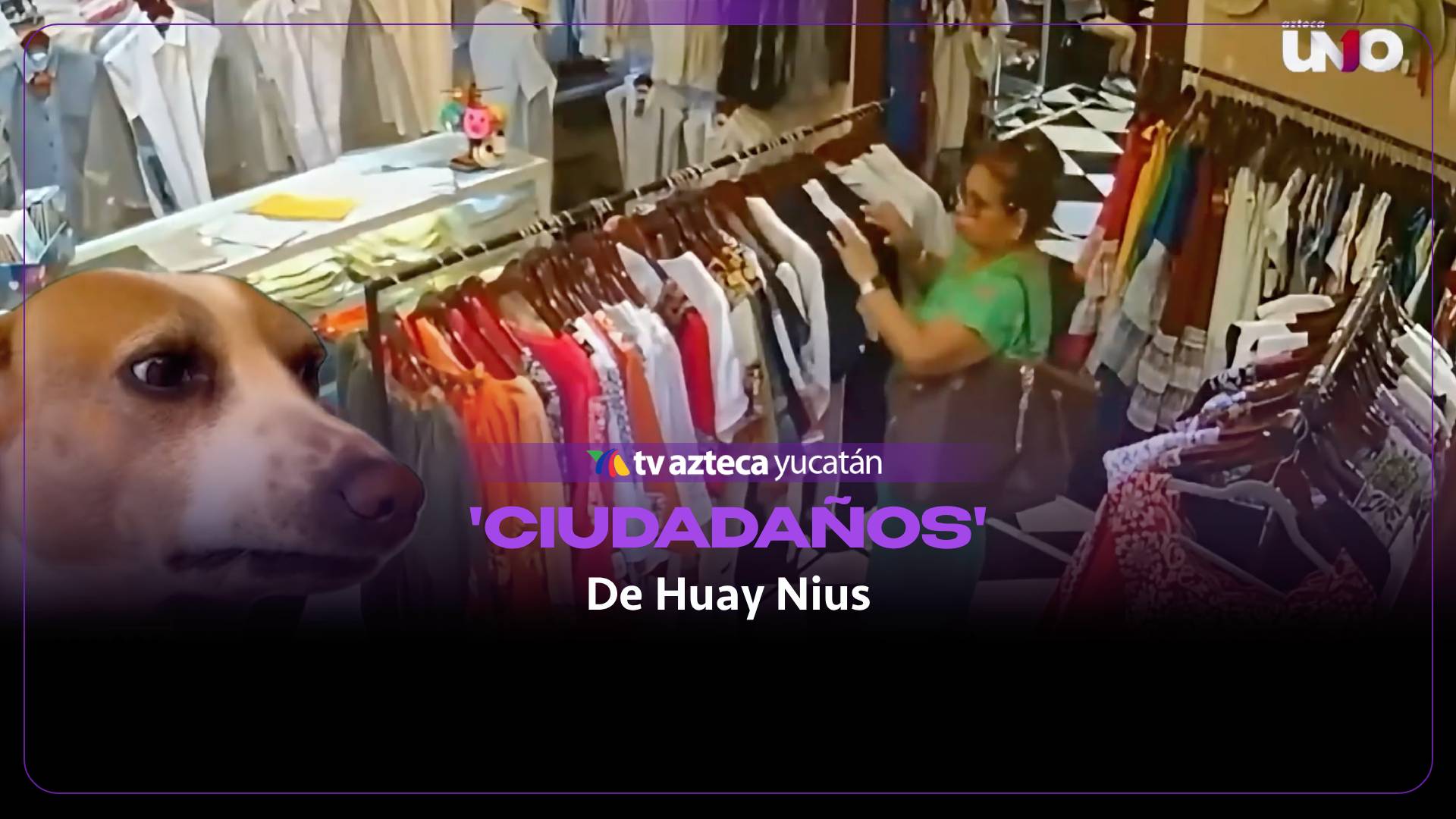 ¡Infaltables! Estos son los ciudadaños de Huay Nius del 5 al 9 de octubre (+Video)