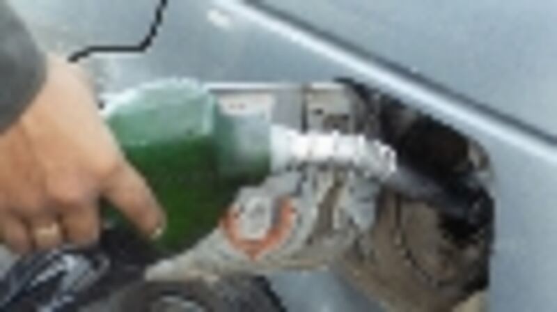 gasolina
