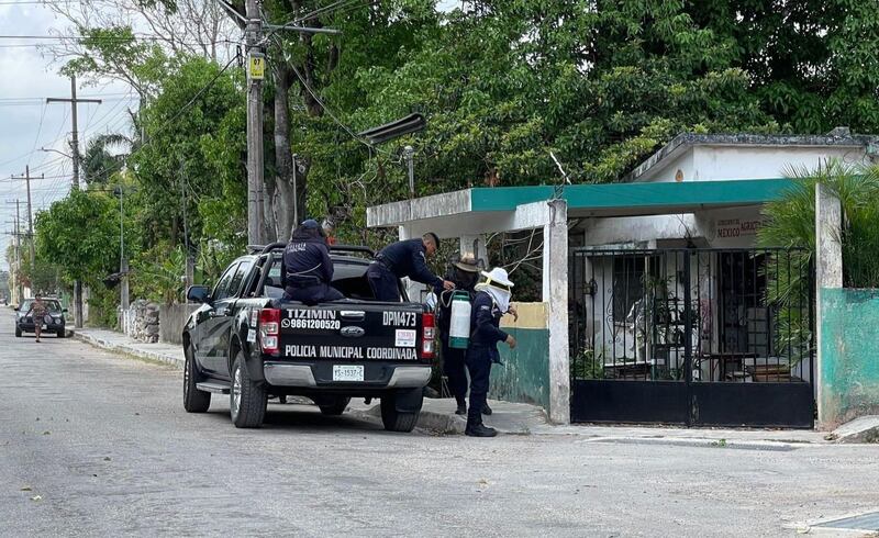 muere perrito ataque de abejas