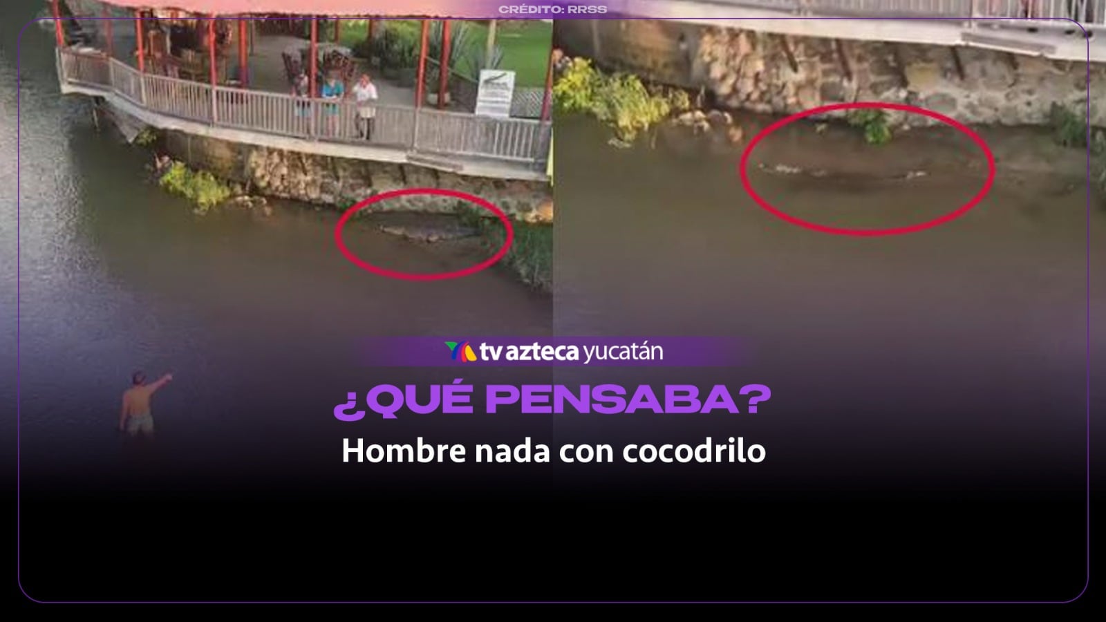 Hombre se mete al río para MOLESTAR a un cocodrilo y todo queda grabado: VIDEO VIRAL