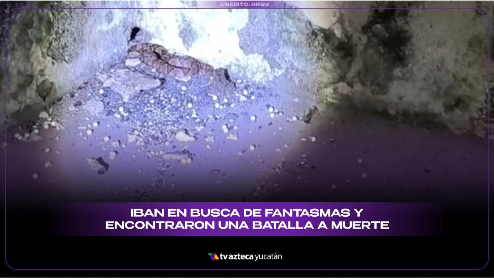 Fueron a GRABAR el TERROR en Misné Balam y captaron extraña e inusual pelea