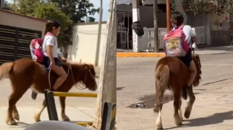 niña montada en pony guasave