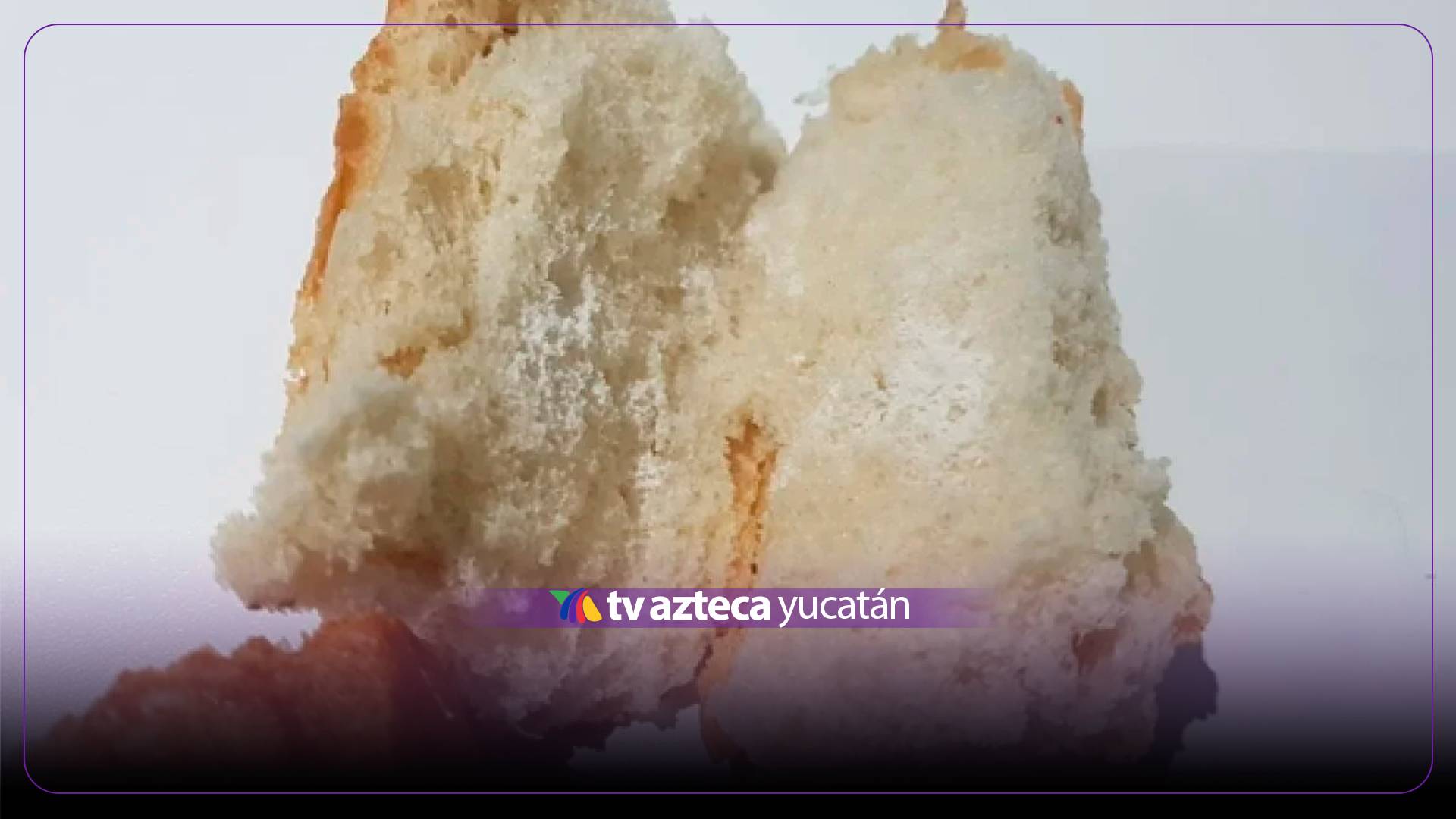 Vecinos del fraccionamiento Los Héroes, Mérida hacen un llamado a ‘papás perrunos’; hallaron comida, presuntamente enven3nada