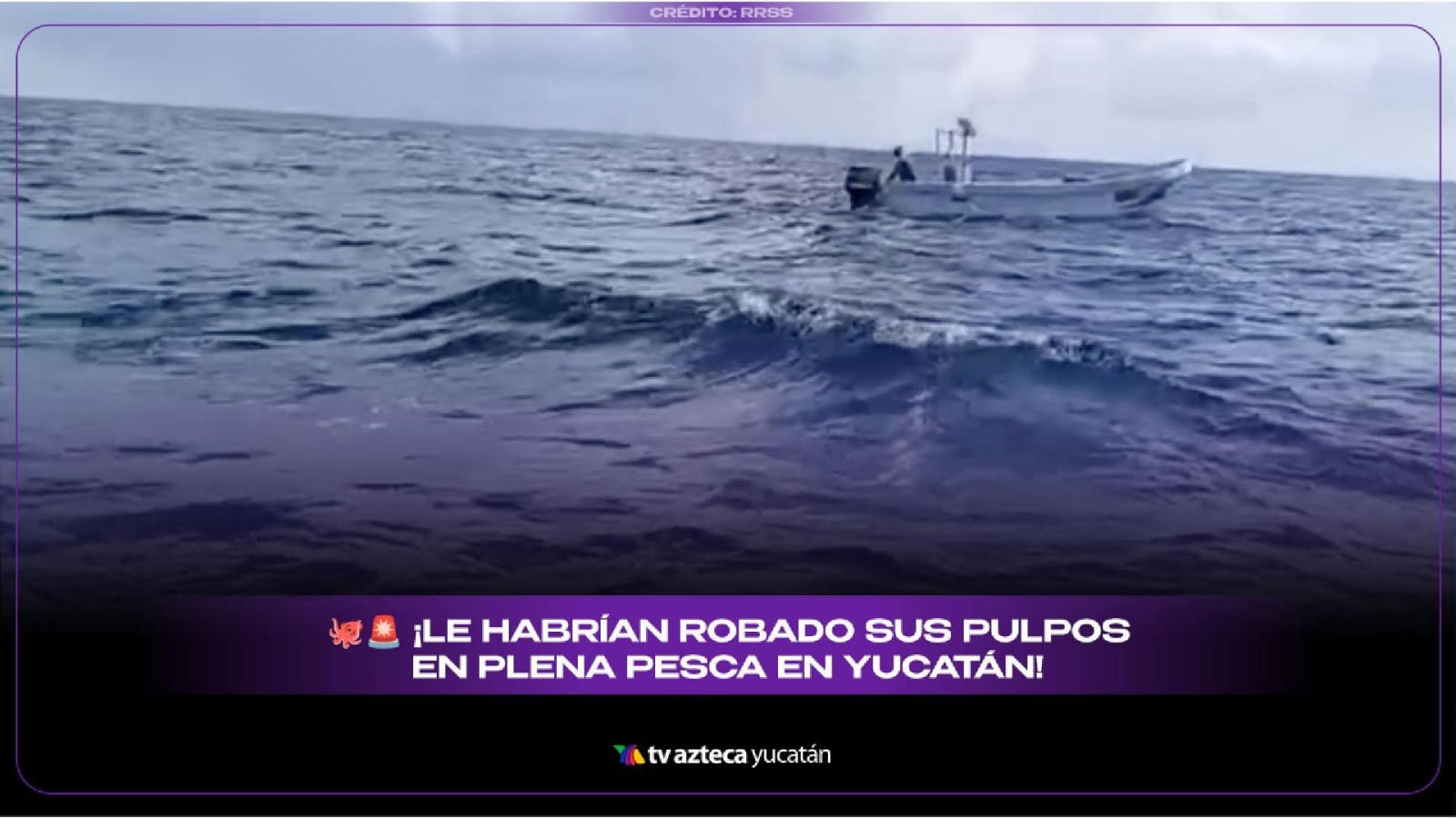 Denuncian a buzos ilegales por robo de pulpo en Telchac Puerto: VIDEO
